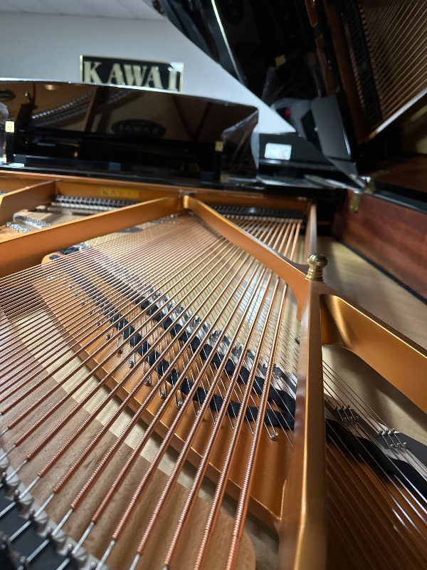 Additional image for Kawai GX3